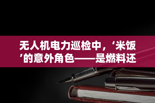 无人机电力巡检中，‘米饭’的意外角色——是燃料还是误入？