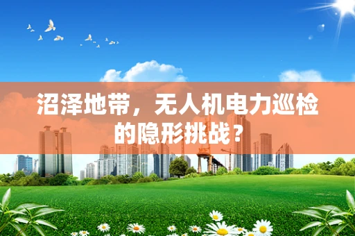 沼泽地带，无人机电力巡检的隐形挑战？