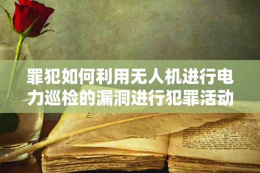 罪犯如何利用无人机进行电力巡检的漏洞进行犯罪活动？