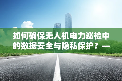 如何确保无人机电力巡检中的数据安全与隐私保护？——顾问视角下的技术挑战