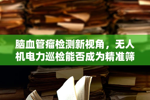 脑血管瘤检测新视角，无人机电力巡检能否成为精准筛查的‘空中利器’？