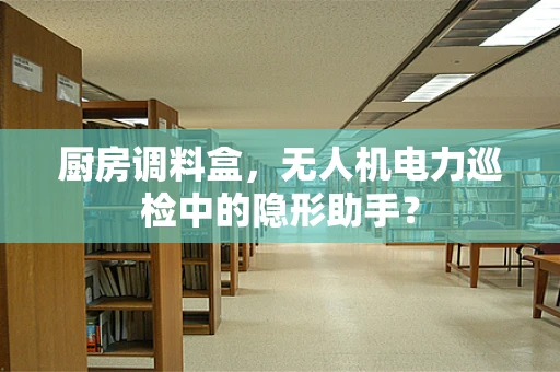 厨房调料盒，无人机电力巡检中的隐形助手？