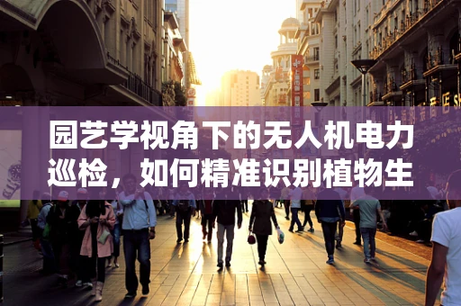 园艺学视角下的无人机电力巡检，如何精准识别植物生长对输电线路的影响？