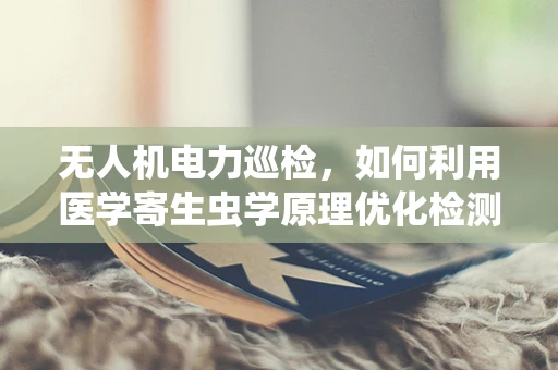 无人机电力巡检，如何利用医学寄生虫学原理优化检测效率？
