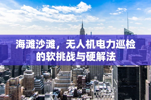 海滩沙滩，无人机电力巡检的软挑战与硬解法
