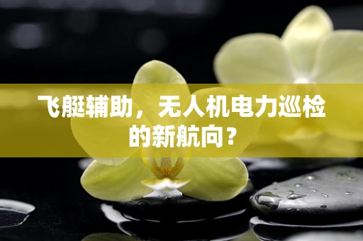 飞艇辅助，无人机电力巡检的新航向？