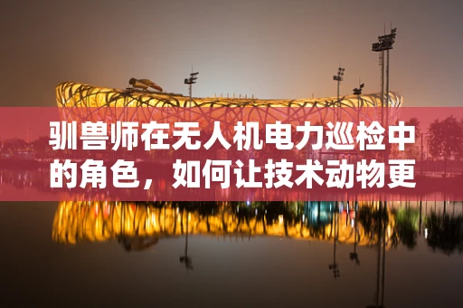 驯兽师在无人机电力巡检中的角色，如何让技术动物更听话？