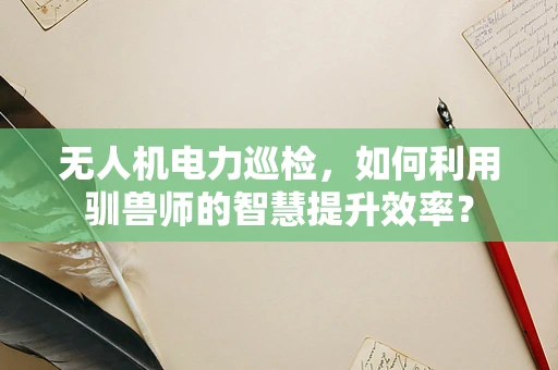无人机电力巡检，如何利用驯兽师的智慧提升效率？