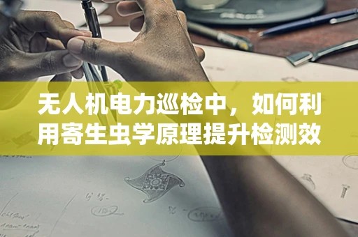 无人机电力巡检中，如何利用寄生虫学原理提升检测效率？