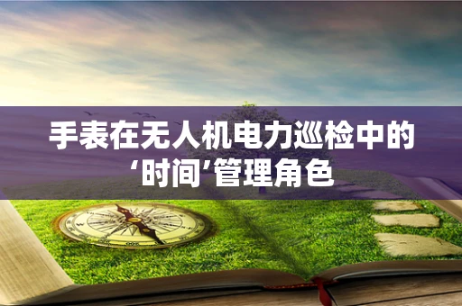 手表在无人机电力巡检中的‘时间’管理角色