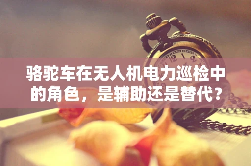 骆驼车在无人机电力巡检中的角色，是辅助还是替代？