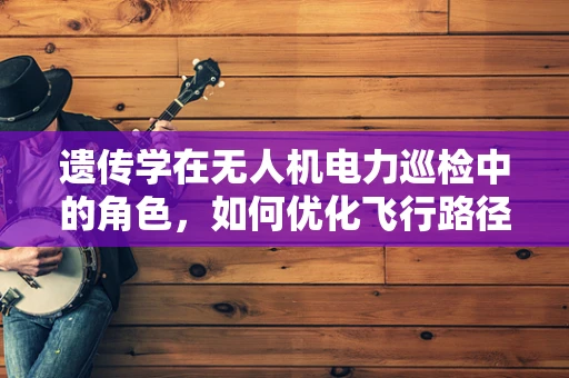 遗传学在无人机电力巡检中的角色，如何优化飞行路径？