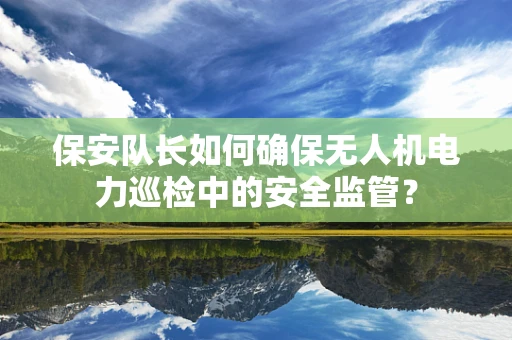 保安队长如何确保无人机电力巡检中的安全监管？