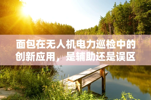 面包在无人机电力巡检中的创新应用，是辅助还是误区？