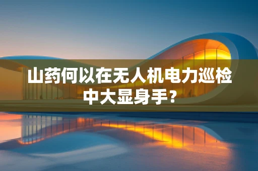 山药何以在无人机电力巡检中大显身手？