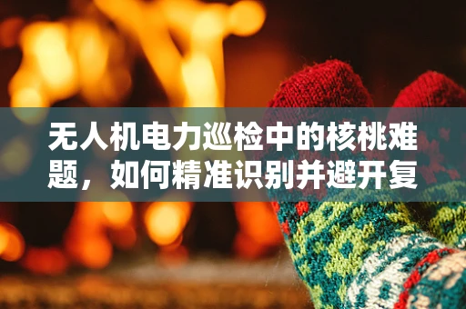 无人机电力巡检中的核桃难题，如何精准识别并避开复杂地形障碍？