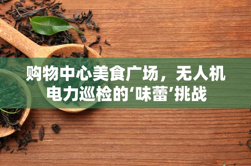 购物中心美食广场，无人机电力巡检的‘味蕾’挑战