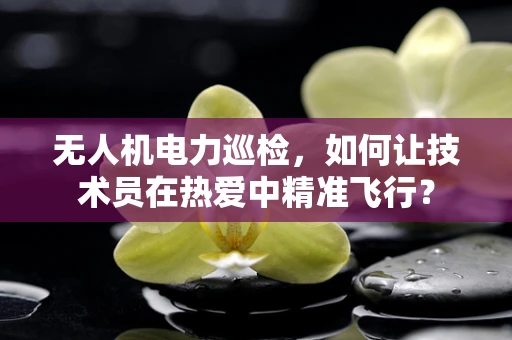 无人机电力巡检，如何让技术员在热爱中精准飞行？
