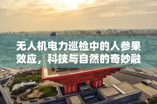 无人机电力巡检中的人参果效应，科技与自然的奇妙融合