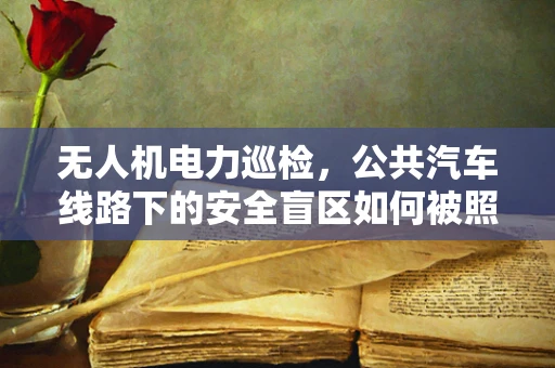 无人机电力巡检，公共汽车线路下的安全盲区如何被照亮？