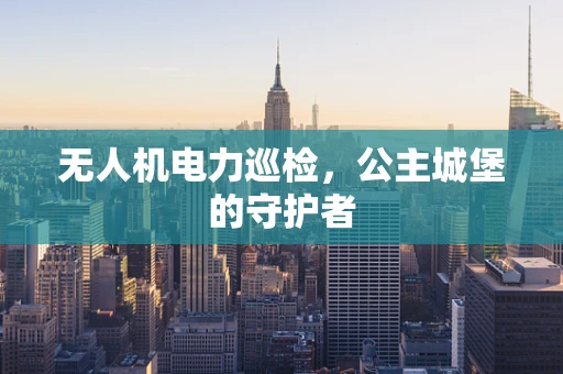 无人机电力巡检，公主城堡的守护者
