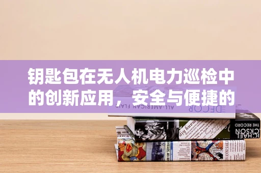 钥匙包在无人机电力巡检中的创新应用，安全与便捷的双重考量？