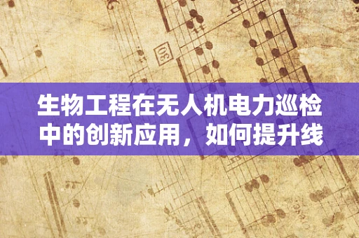 生物工程在无人机电力巡检中的创新应用，如何提升线路识别精度？
