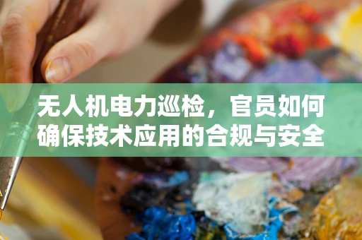 无人机电力巡检，官员如何确保技术应用的合规与安全？