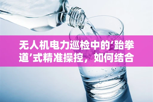 无人机电力巡检中的‘跆拳道’式精准操控，如何结合武术精神提升飞行稳定性？