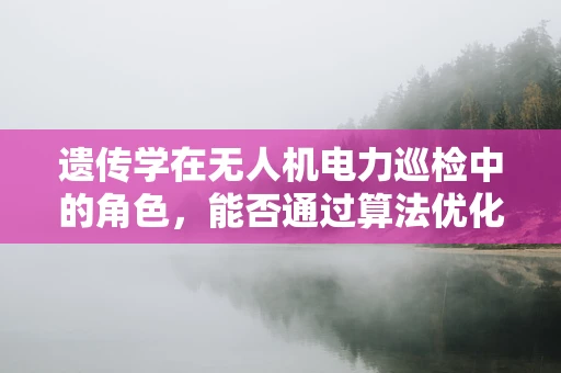 遗传学在无人机电力巡检中的角色，能否通过算法优化提升识别精度？