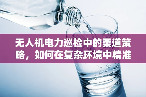 无人机电力巡检中的柔道策略，如何在复杂环境中精准操控？
