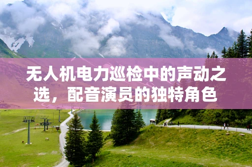无人机电力巡检中的声动之选，配音演员的独特角色