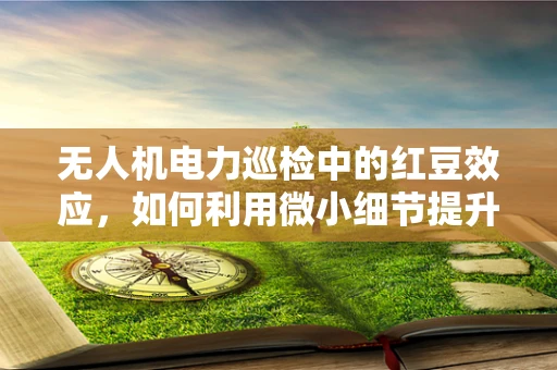 无人机电力巡检中的红豆效应，如何利用微小细节提升巡检效率？