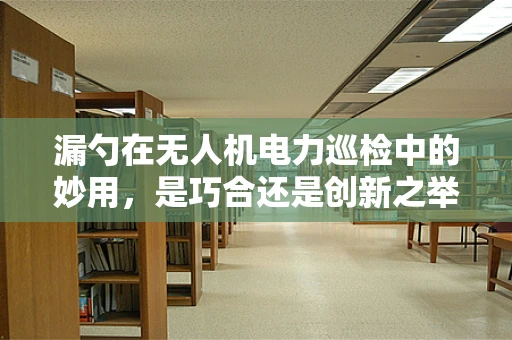 漏勺在无人机电力巡检中的妙用，是巧合还是创新之举？