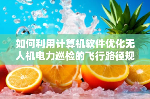 如何利用计算机软件优化无人机电力巡检的飞行路径规划？