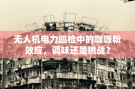 无人机电力巡检中的咖喱粉效应，调味还是挑战？