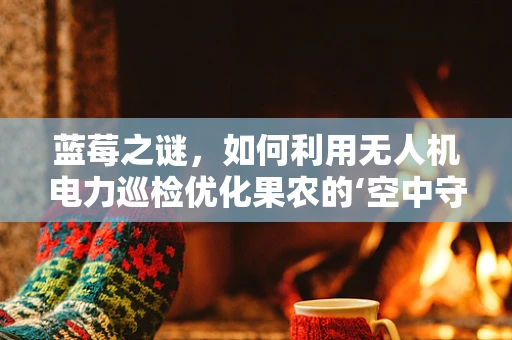 蓝莓之谜，如何利用无人机电力巡检优化果农的‘空中守护’？