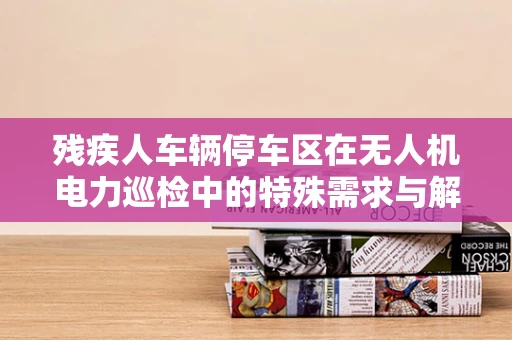 残疾人车辆停车区在无人机电力巡检中的特殊需求与解决方案