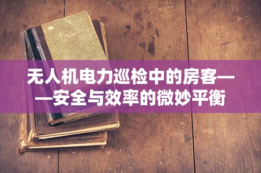 无人机电力巡检中的房客——安全与效率的微妙平衡