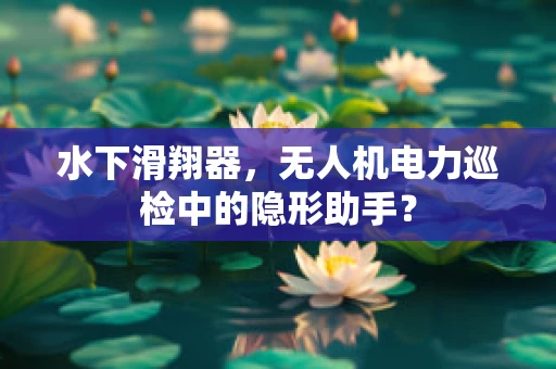 水下滑翔器，无人机电力巡检中的隐形助手？