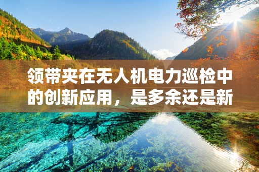 领带夹在无人机电力巡检中的创新应用，是多余还是新奇？