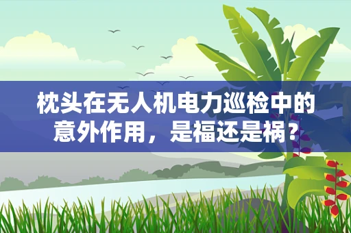 枕头在无人机电力巡检中的意外作用，是福还是祸？