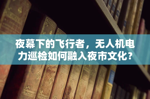夜幕下的飞行者，无人机电力巡检如何融入夜市文化？