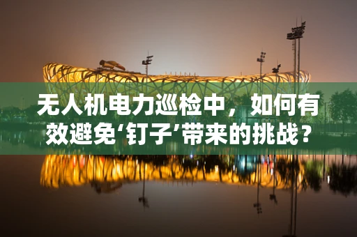 无人机电力巡检中，如何有效避免‘钉子’带来的挑战？