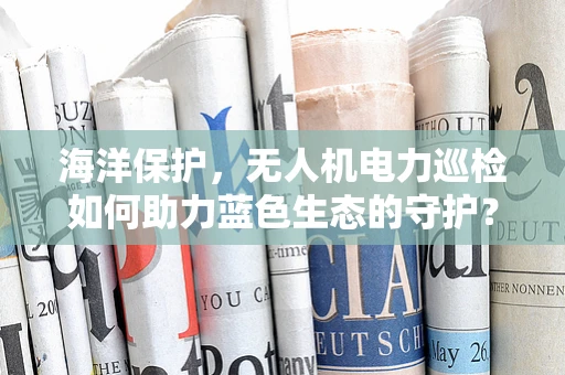 海洋保护，无人机电力巡检如何助力蓝色生态的守护？