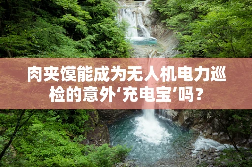 肉夹馍能成为无人机电力巡检的意外‘充电宝’吗？
