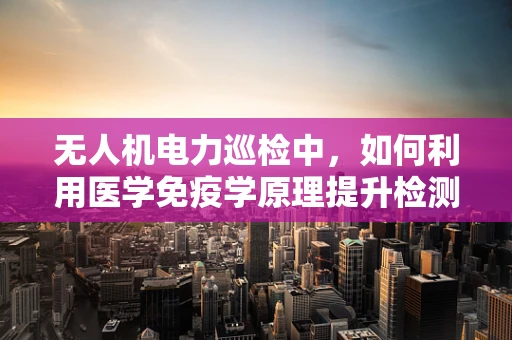 无人机电力巡检中，如何利用医学免疫学原理提升检测精度？