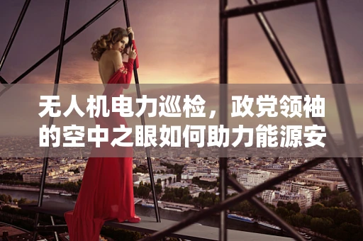 无人机电力巡检，政党领袖的空中之眼如何助力能源安全？