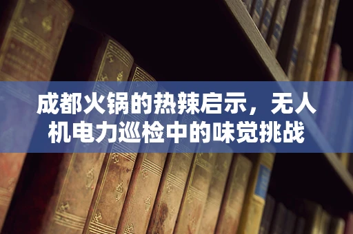 成都火锅的热辣启示，无人机电力巡检中的味觉挑战