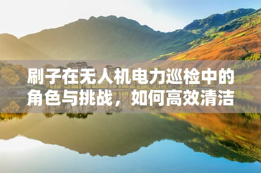 刷子在无人机电力巡检中的角色与挑战，如何高效清洁高压线？